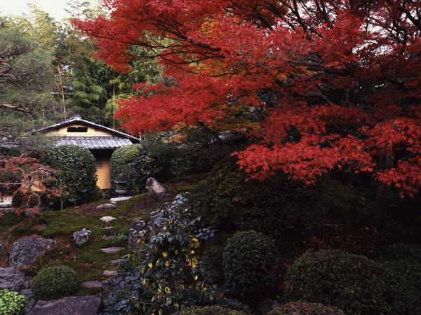 宝鏡寺「鶴亀の庭」