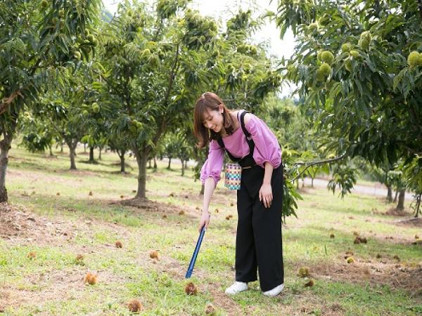 中津川マロンパーク　栗拾い