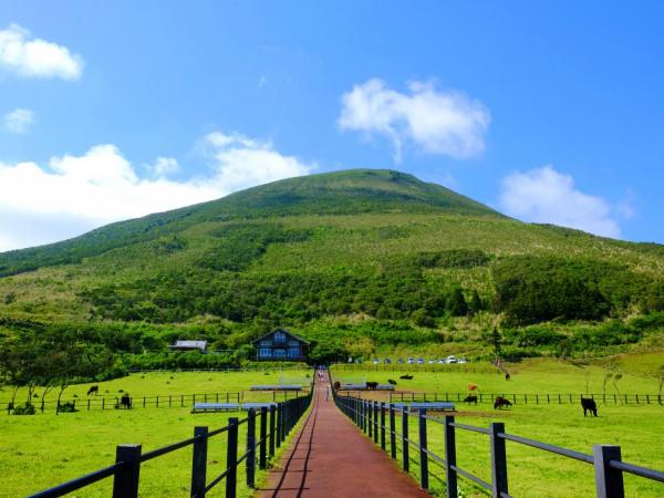 八丈富士ふれあい牧場