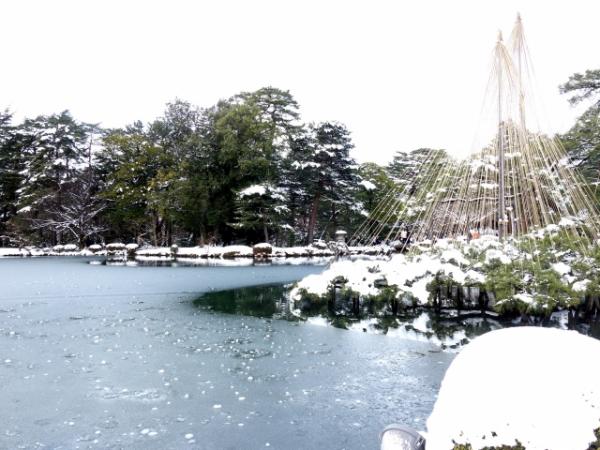 兼六園雪吊り