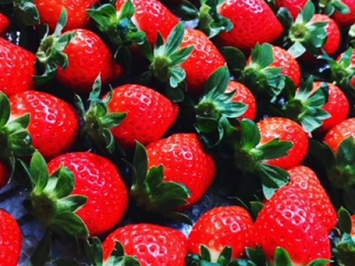 ときめき春の近江路♡ 近江牛ランチ&「竜王いちご」狩り