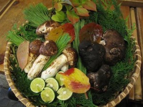 日本料理柚木元”松茸会席”＆天龍峡そらさんぽ
