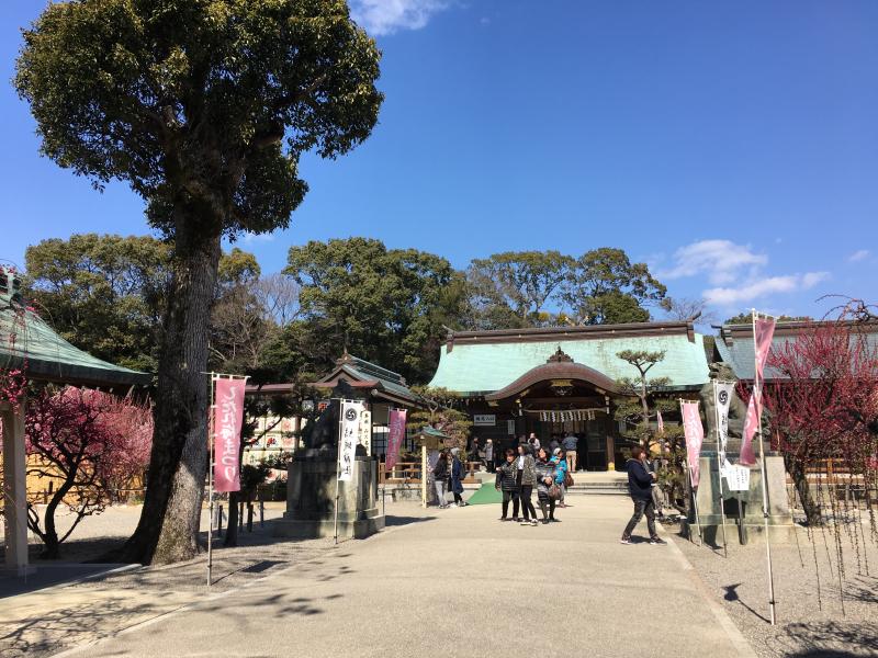 しだれ梅が満開な結城神社へ