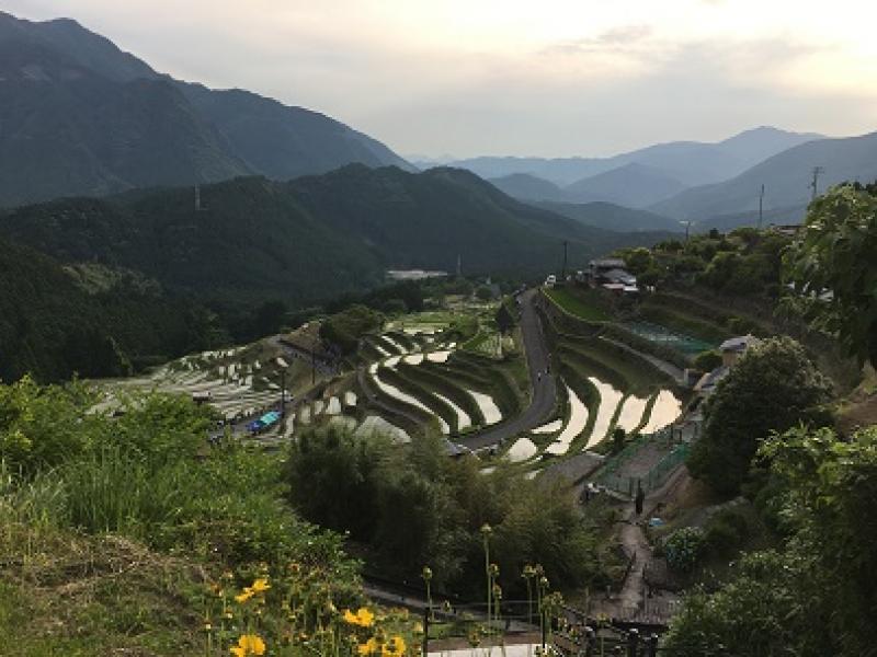 丸山千枚田の虫送りへ