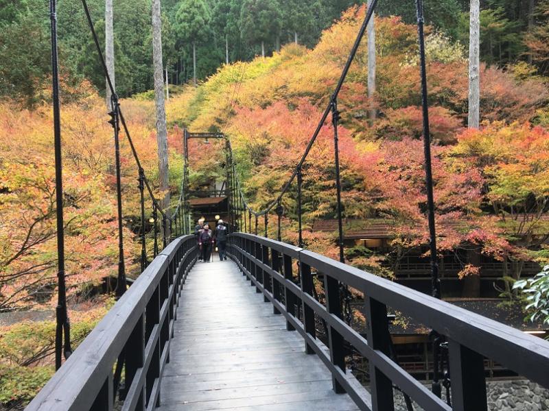 秋の行楽シーズン　京都の紅葉めぐりへ行ってきました！！