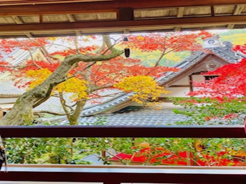 絶景！京都の紅葉巡り